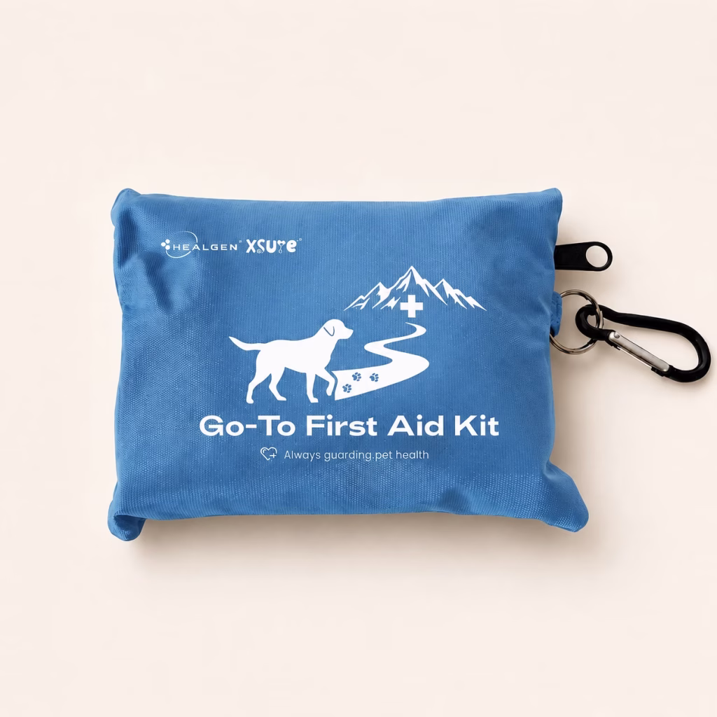 Go-To First Aid Kit