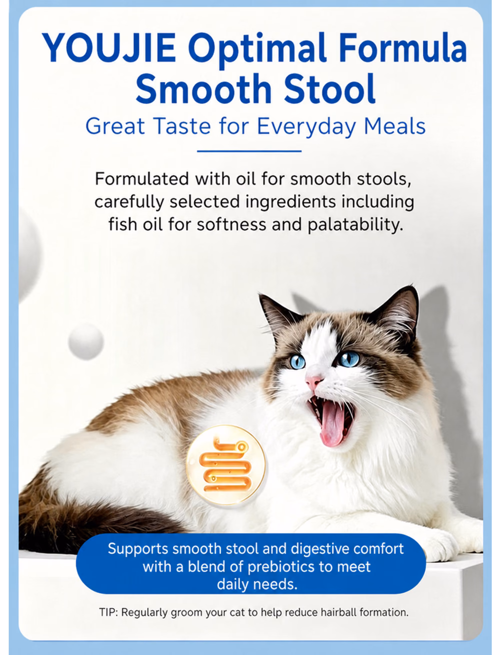 YOUJIE Cat Treats product details